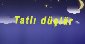 TATLI DUSLAR