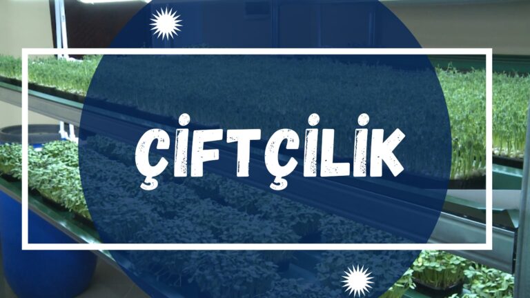 Объезд полей Комратского района | Çiftçilik