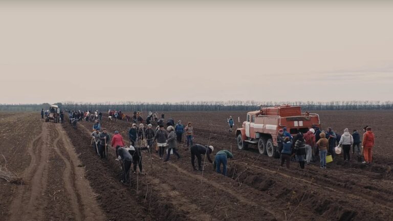 «Это уже стало традицией». Как в Копчаке всем селом озеленяют территории