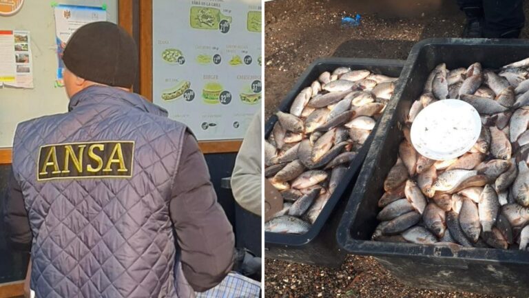 Инспекторы ANSA выявили нарушения при перевозке и продаже живой рыбы 