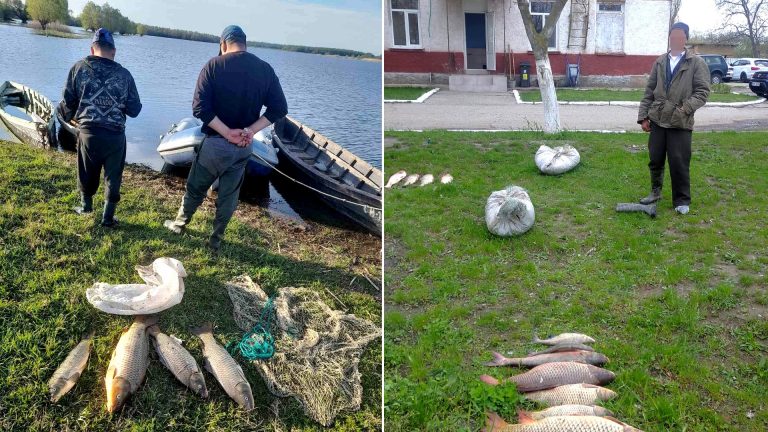 Рыбалка в период запрета: в Кагуле четверых мужчин поймали с 50 кг рыбы Рыбалка в период запрета: в Кагуле четверых мужчин поймали с 50 кг рыбы