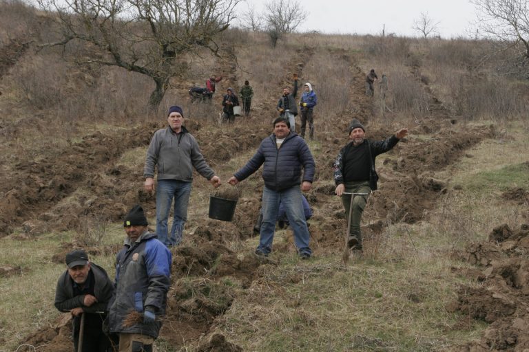 /Фото/ В рамках акции «Месяц леса» в Молдове посадили 355 га новых лесов /Фото/ В рамках акции «Месяц леса» в Молдове посадили 355 га новых лесов