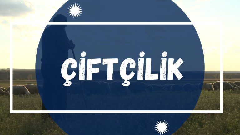 Развитие тепличного хозяйства в Гагаузии | ÇİFTÇİLİK