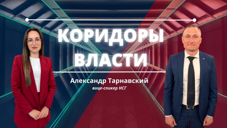 Александр Тарнавский о рисках неисполнения доходной части бюджета Гагаузии