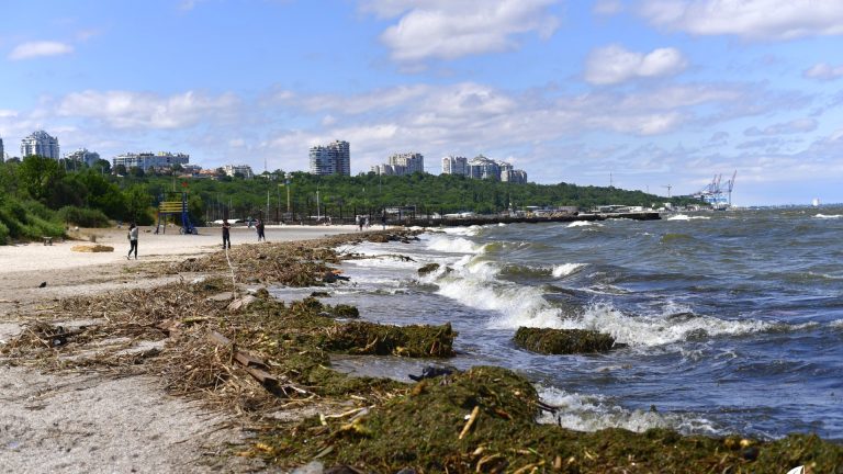 Эксперты: Стоит ли ехать на Черное море и купаться в нем
