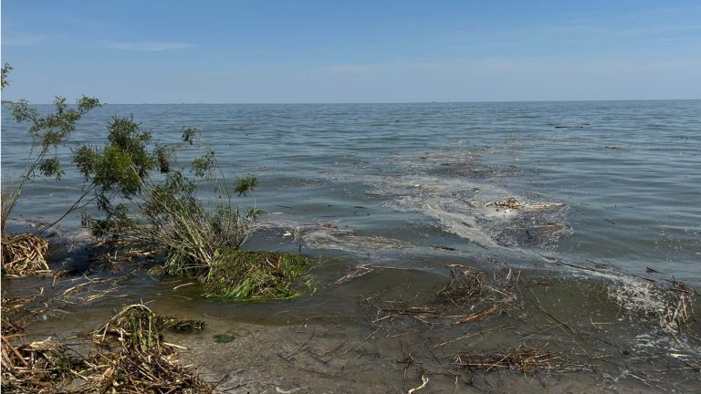/Фото/ Соленость Черного моря резко упала из-за подрыва Каховской ГЭС