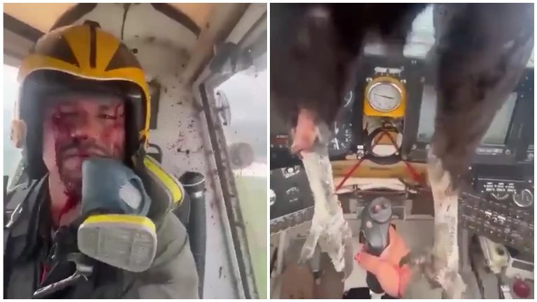 /Видео/ В Эквадоре огромная птица пробила лобовое стекло аэроплана и застряла в кабине с пилотом /Видео/ В Эквадоре огромная птица пробила лобовое стекло аэроплана и застряла в кабине с пилотом
