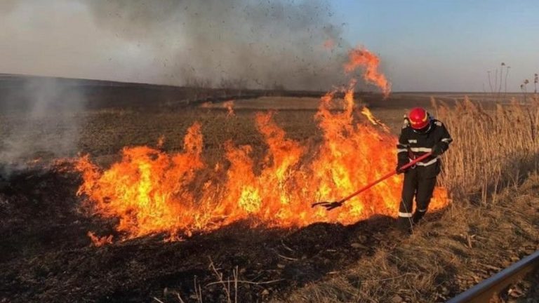 В Молдове снова возник риск пожарной опасности. Объявлен желтый код В Молдове снова возник риск пожарной опасности. Объявлен желтый код