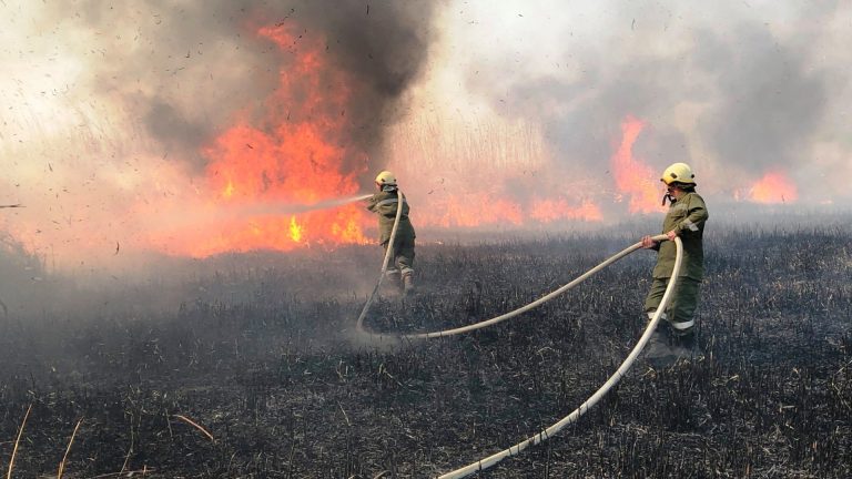 В Молдове сохраняется риск пожарной опасности. Объявлен желтый код 