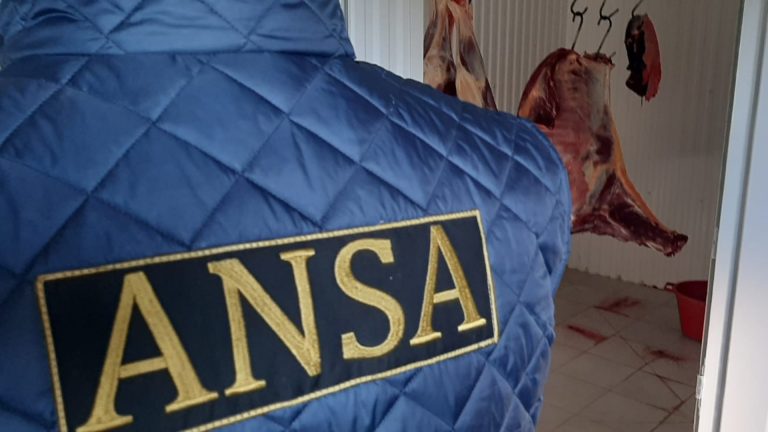 ANSA проводит неожиданные проверки на скотобойнях и фермах страны