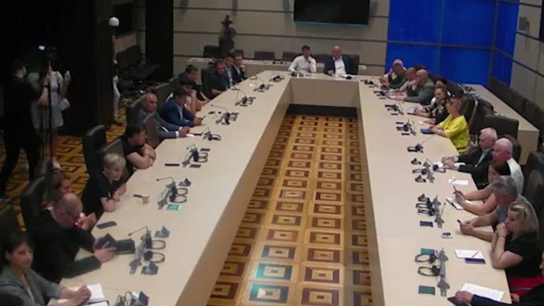 /Видео/ Участники публичных слушаний парламентской оппозиции: «9 мая — это День Победы, и мы будем его праздновать»
