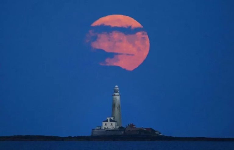 /Фото/«Оленья Луна»: как мир наблюдал за июльским суперлунием /Фото/«Оленья Луна»: как мир наблюдал за июльским суперлунием