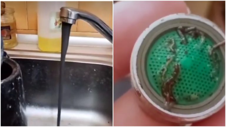 /Видео/ В Хынчештах из крана идет черная вода с червями. Жители отказываются платить счета за воду /Видео/ В Хынчештах из крана идет черная вода с червями. Жители отказываются платить счета за воду