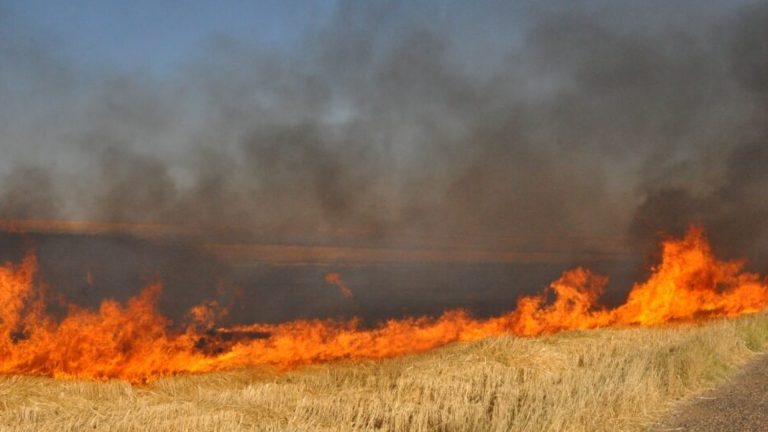 В Молдове вновь объявлен желтый код пожарной опасности