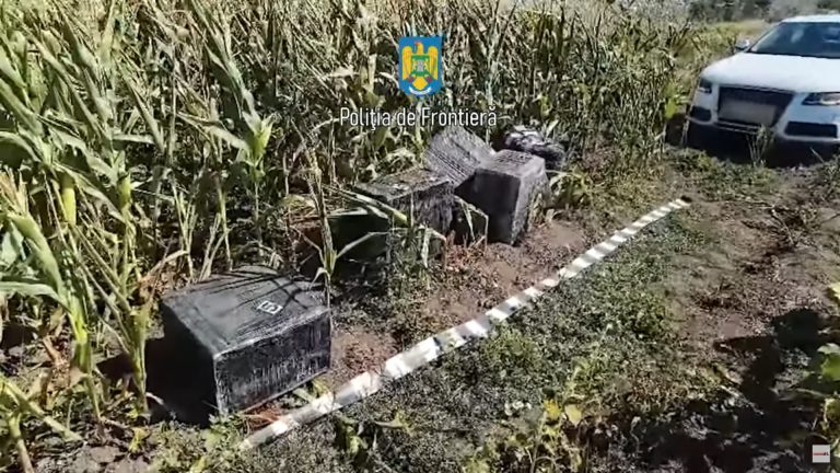 В Румынии в кукурузном поле нашли партию сигарет, которую незаконно ввезли из Молдовы