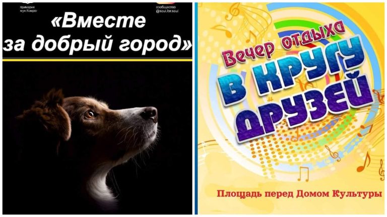 «Поможем открыть приют для домашних животных». В Комрате пройдет благотворительный концерт