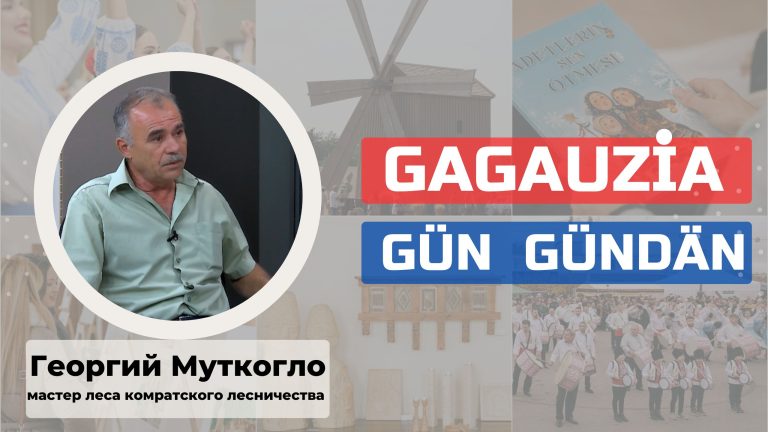 Георгий Муткогло о состоянии лесов в Гагаузии