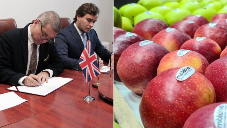 Великобритания отменила все таможенные пошлины для ряда сельхозпродуктов из Молдовы