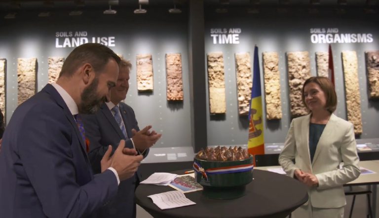 /Видео/ В Нидерландах новый сорт тюльпанов назвали в честь президента Молдовы /Видео/ В Нидерландах новый сорт тюльпанов назвали в честь президента Молдовы