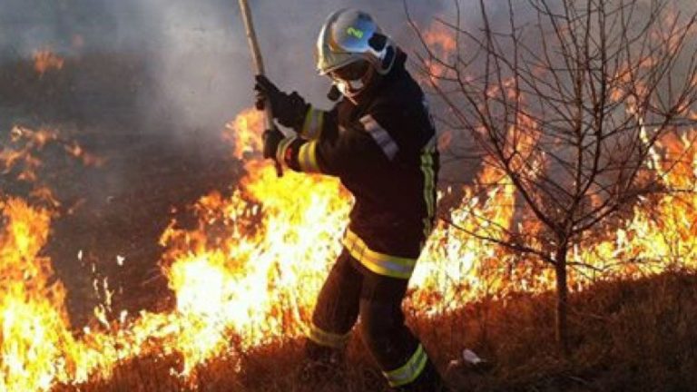 В прошлом году сотрудники ГИЧС участвовали в тушении более 10,6 тыс. пожаров