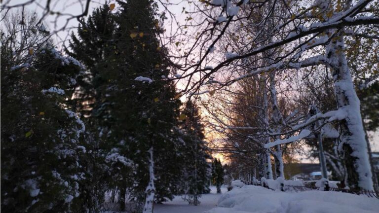После снегопада и ветра немного потеплеет. Погода в Молдове на завтра После снегопада и ветра немного потеплеет. Погода в Молдове на завтра