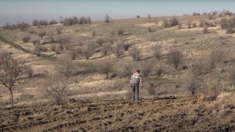 В селе Авдарма появится еще один лес В селе Авдарма появится еще один лес