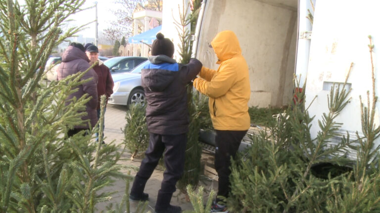 /Видео/ Комратчане спешат купить елку в преддверии Нового года 