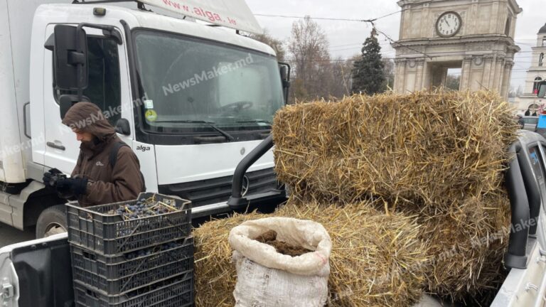 /Фото/ Протестующие фермеры привезли к зданию правительства мешки с навозом и сено /Фото/ Протестующие фермеры привезли к зданию правительства мешки с навозом и сено