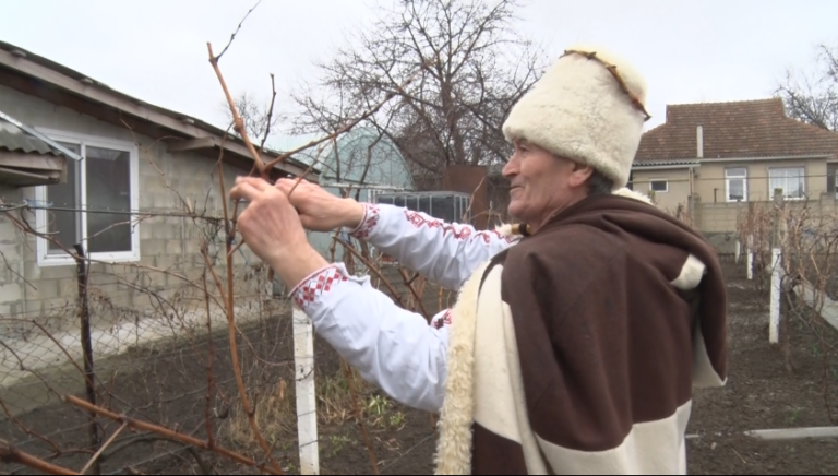 /Видео/ 14 февраля болгары широко отмечают праздник «Трифон Зарезан»: история и традиции этого дня