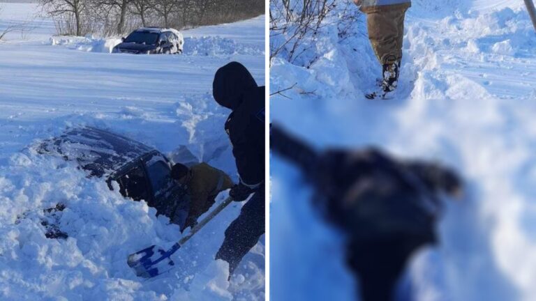 В деле супругов, погибших во время снегопада, до сих пор нет подозреваемых В деле супругов, погибших во время снегопада, до сих пор нет подозреваемых
