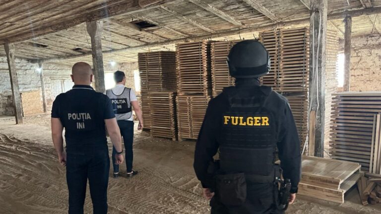 /Видео/ В Молдове предотвратили контрабанду древесины дуба. Подозреваемым грозит до 10 лет тюрьмы /Видео/ В Молдове предотвратили контрабанду древесины дуба. Подозреваемым грозит до 10 лет тюрьмы