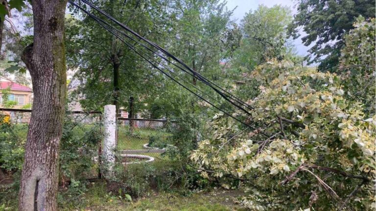 В Молдове в результате непогоды погибли два человека 