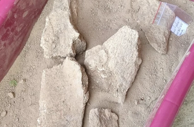КОСТИ МАМОНТА НАЙДЕНЫ АРХЕОЛОГАМИ В ОДНОМ ИЗ МОЛДАВСКИХ СЁЛ