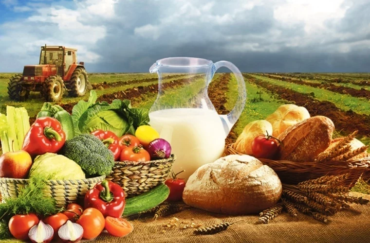 КАКОВА ДИНАМИКА ПРОИЗВОДСТВА СЕЛЬХОЗПРОДУКЦИИ В МОЛДОВЕ КАКОВА ДИНАМИКА ПРОИЗВОДСТВА СЕЛЬХОЗПРОДУКЦИИ В МОЛДОВЕ