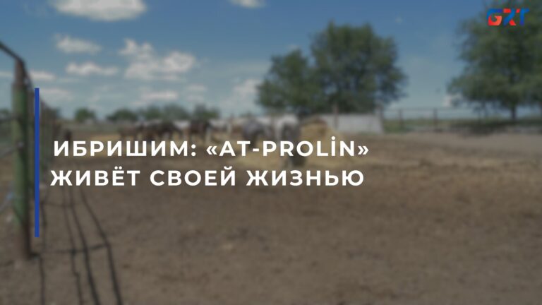 ИБРИШИМ: «AT-PROLİN» ЖИВЁТ СВОЕЙ ЖИЗНЬЮ 