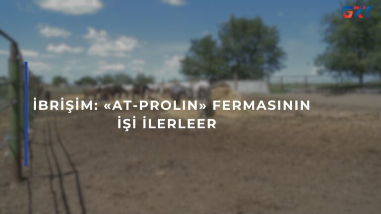 İBRİŞİM: «AT-PROLIN» FERMASININ İŞİ İLERLEER  