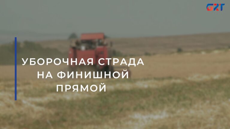 УБОРОЧНАЯ СТРАДА НА ФИНИШНОЙ ПРЯМОЙ 