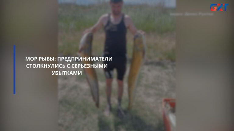 МОР РЫБЫ: ПРЕДПРИНИМАТЕЛИ СТОЛКНУЛИСЬ С СЕРЬЕЗНЫМИ УБЫТКАМИ МОР РЫБЫ: ПРЕДПРИНИМАТЕЛИ СТОЛКНУЛИСЬ С СЕРЬЕЗНЫМИ УБЫТКАМИ