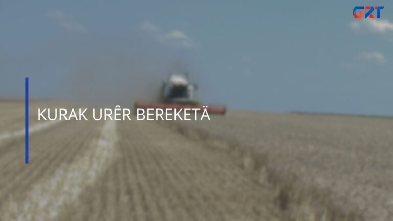 KURAK URȆR BEREKETÄ KURAK URȆR BEREKETÄ