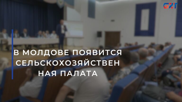 В МОЛДОВЕ ПОЯВИТСЯ СЕЛЬСКОХОЗЯЙСТВЕННАЯ ПАЛАТА
