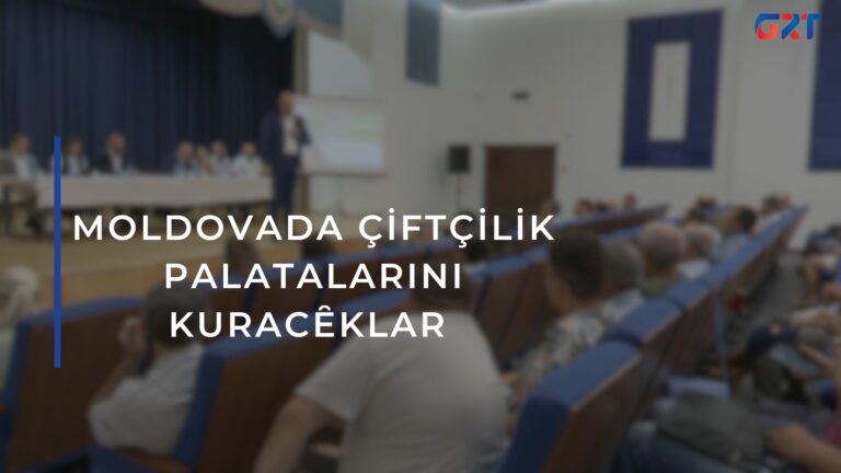 MOLDOVADA ÇİFTÇİLİK PALATALARINI KURACȆKLAR 