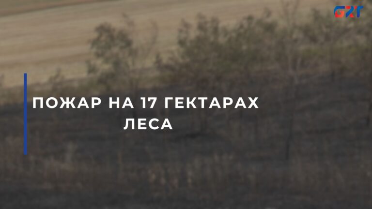 ПОЖАР НА 17 ГЕКТАРАХ ЛЕСА