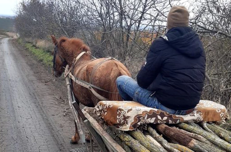 УГРОЗА ДЛЯ ЛЕСА: В МОЛДОВЕ ВЫЯВЛЕН СЛУЧАЙ НЕЗАКОННОЙ ПЕРЕВОЗКИ ДРЕВЕСИНЫ