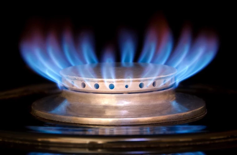 КАК ПОДОРОЖАНИЕ ГАЗА ПОВЛИЯЕТ НА ФАРМАЦЕВТИЧЕСКУЮ И ГОСТИНИЧНУЮ ОТРАСЛИ КАК ПОДОРОЖАНИЕ ГАЗА ПОВЛИЯЕТ НА ФАРМАЦЕВТИЧЕСКУЮ И ГОСТИНИЧНУЮ ОТРАСЛИ