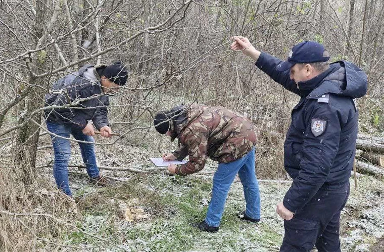 В СТРАШЕНСКОМ РАЙОНЕ РАСКРЫТА НЕЗАКОННАЯ ВЫРУБКА ДЕРЕВЬЕВ