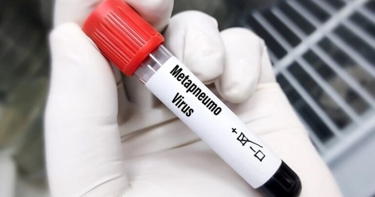ВОЗ О ВОЗМОЖНОЙ ПАНДЕМИИ МЕТАПНЕВМОВИРУСНОЙ ИНФЕКЦИИ: УГРОЗЫ НЕТ