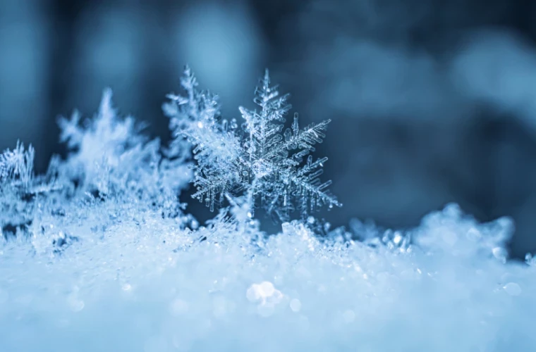 ПРОГНОЗ ПОГОДЫ НА 14 ФЕВРАЛЯ