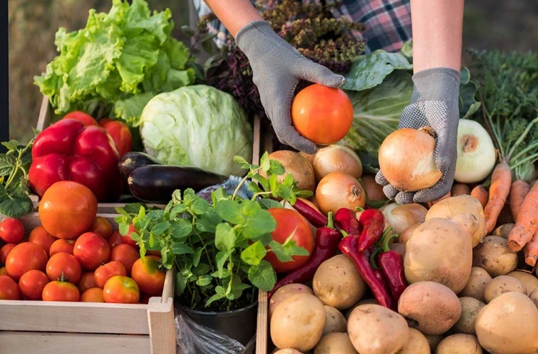 ЦЕНЫ НА СЕЛЬХОЗПРОДУКЦИЮ В МОЛДОВЕ В 2024 ГОДУ: ПОВЫШЕНИЕ НА 14%