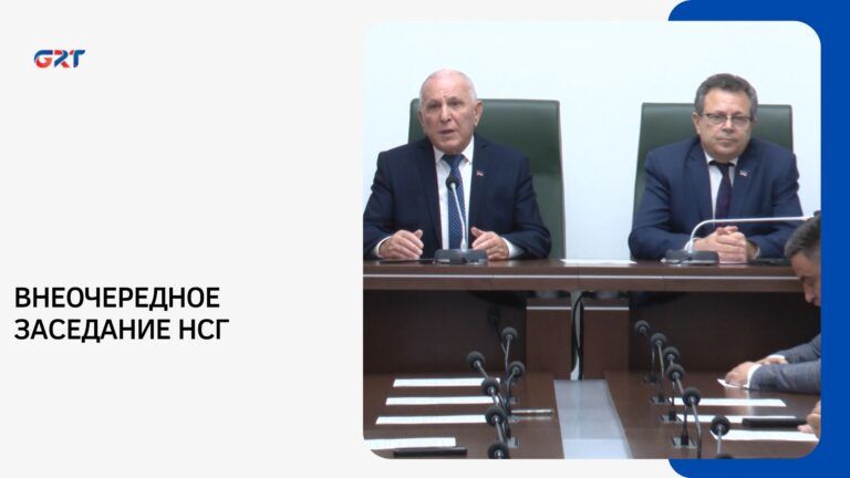 ВНЕОЧЕРЕДНОЕ ЗАСЕДАНИЕ НСГ
